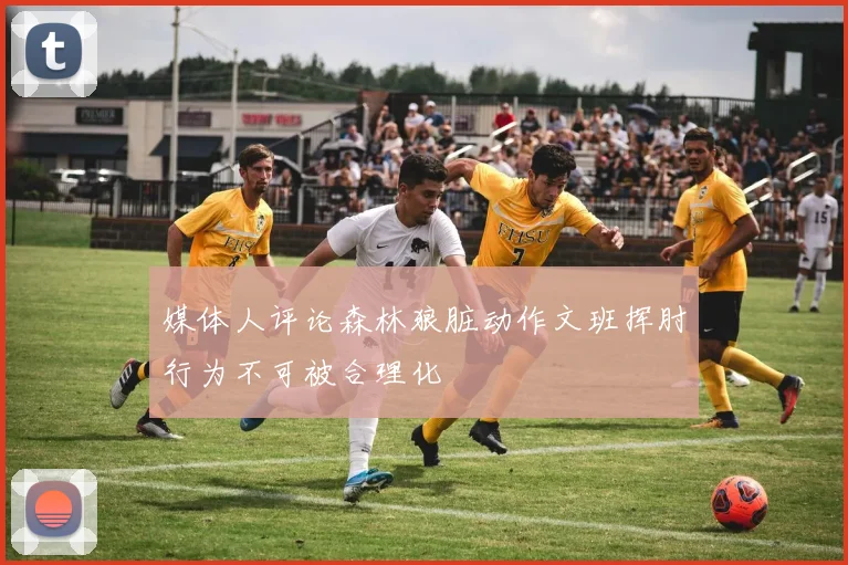 媒体人评论森林狼脏动作文班挥肘行为不可被合理化
